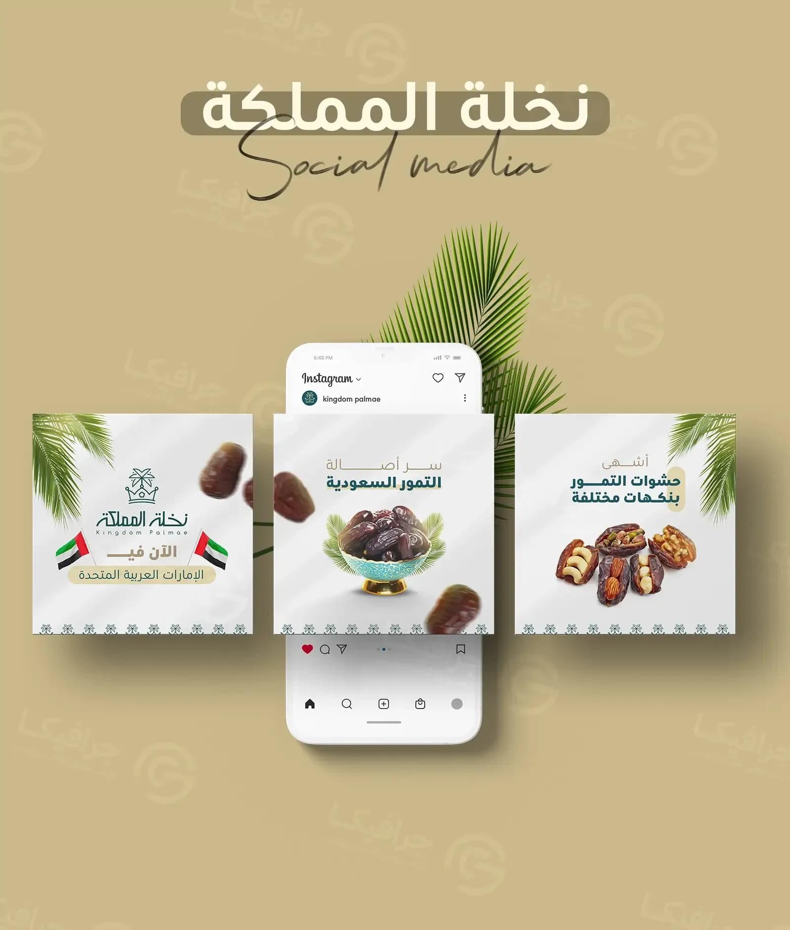 ثلاثة تصاميم منشورات لنخلة المملكة حول هاتف يعرض حساب العلامة على إنستغرام